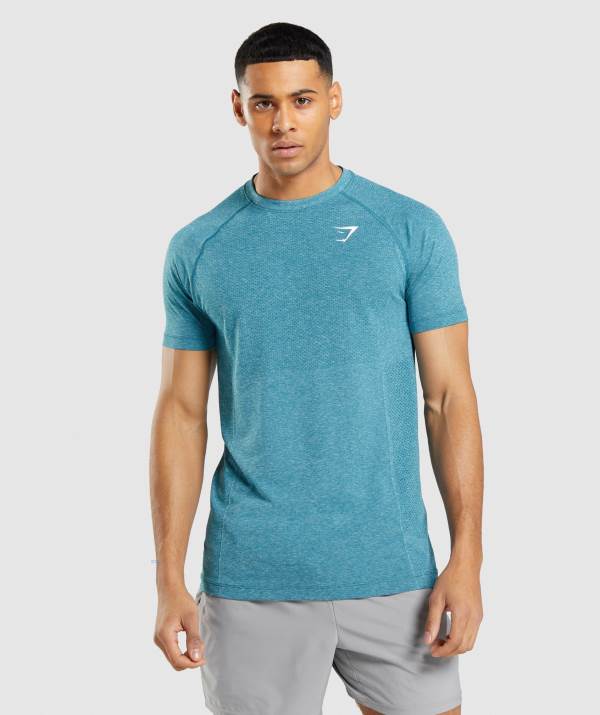 Gymshark Vital Light Seamless T-Shirt Herren Türkis | 3172HMEUN