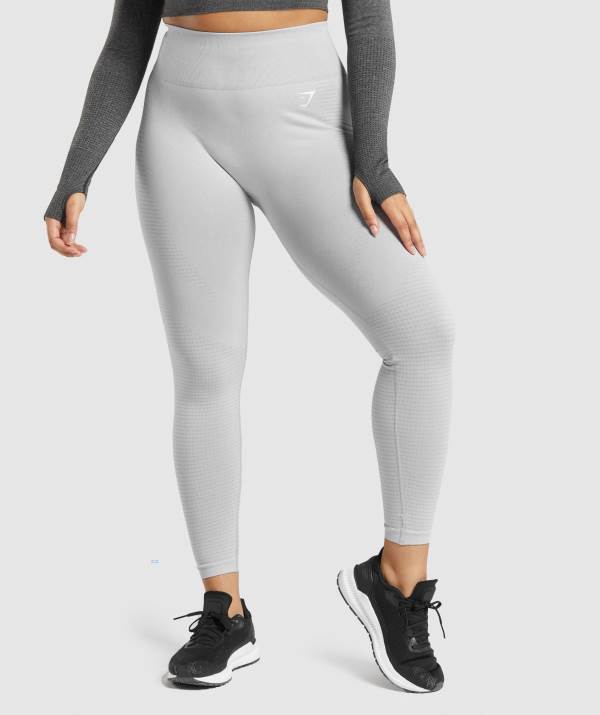 Gymshark Vital Seamless 2.0 Leggings Damen Hellgrau | 5648THVSK