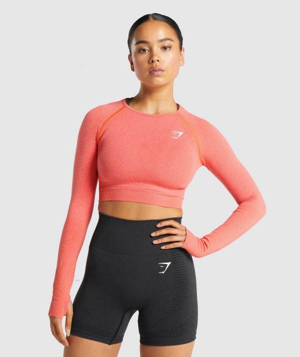 Gymshark Vital Seamless 2.0 Long Sleeve Crop Top Damen Orange | 2018FPBAE