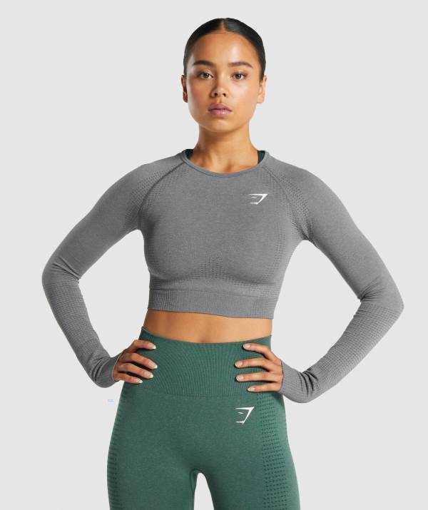 Gymshark Vital Seamless 2.0 Long Sleeve Crop Top Damen Grau | 2351VGWBA