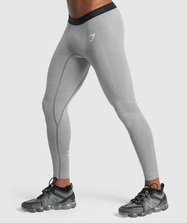 Gymshark Vital Seamless Leggings Herren Grau | 4281QOVZB