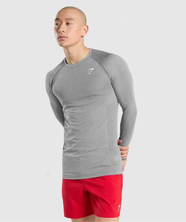 Gymshark Vital Seamless Long Sleeve Sweatshirt Herren Grau | 4710BAPKI