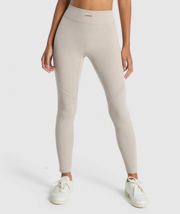Gymshark Whitney Mesh Leggings Damen Grau | 7583HYRBF