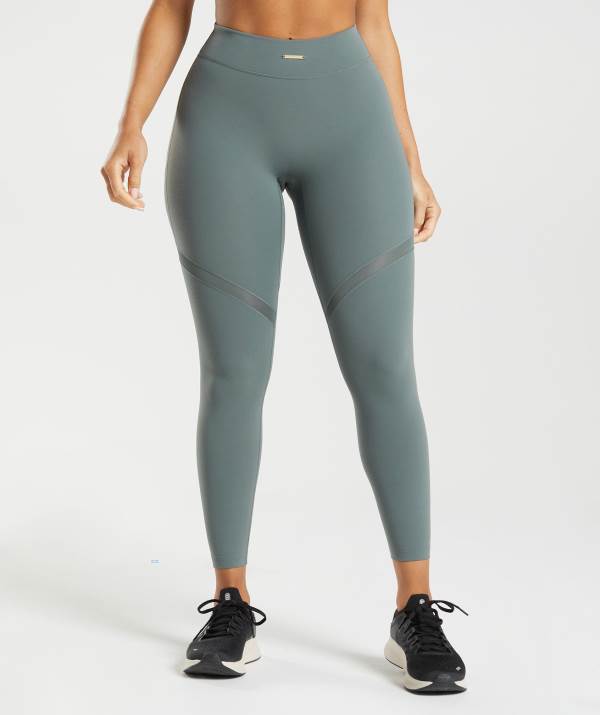 Gymshark Whitney Mesh Leggings Damen Indigo | 2706FSPRO
